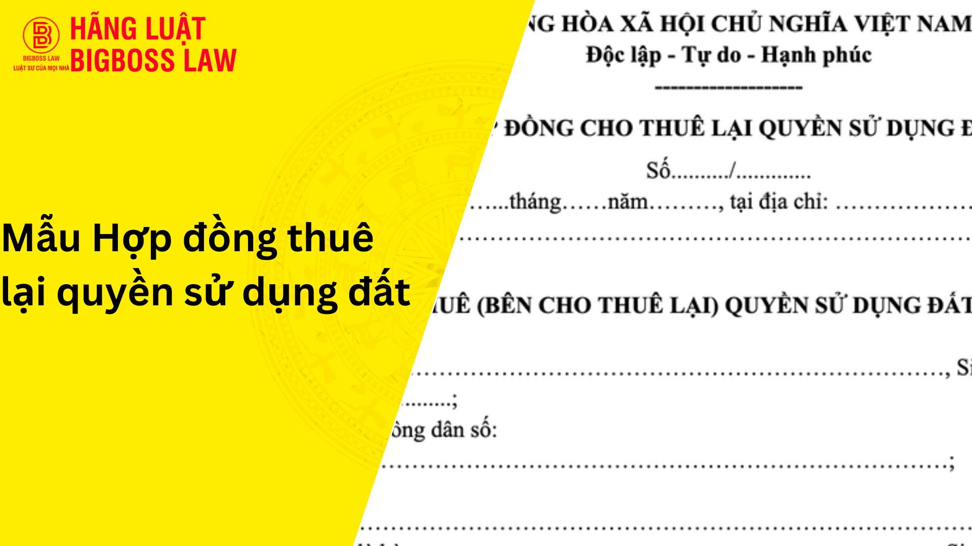 Mẫu hợp đồng cho thuê lại QSDĐ