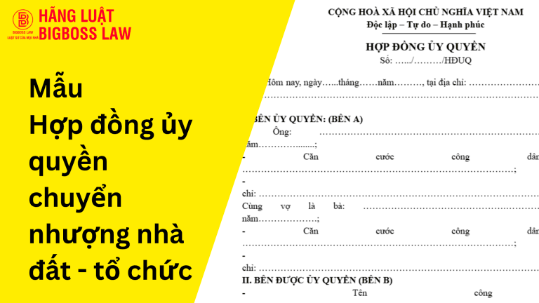 Hop dong thu viec