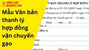 Văn bản thanh lý hợp đồng vận chuyển gạo
