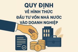 Quy định về hình thức đầu tư vốn nhà nước vào doanh nghiệp