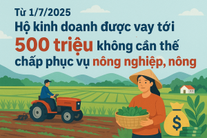 Từ 1/7/2025: Hộ kinh doanh được vay tới 500 triệu không cần thế chấp phục vụ nông nghiệp, nông thôn