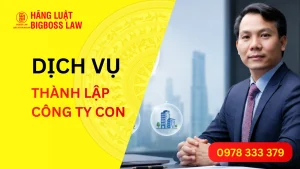 Dịch vụ thành lập công ty con trọn gói, nhanh chóng, đúng luật