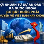 loi-nhuan-tu-du-an-dau-tu-ra-nuoc-ngoai-co-bat-buoc-phai-chuyen-ve-viet-nam-hay-khong