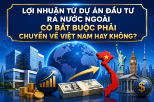 Lợi nhuận từ dự án đầu tư ra nước ngoài có bắt buộc phải chuyển về Việt Nam hay không?