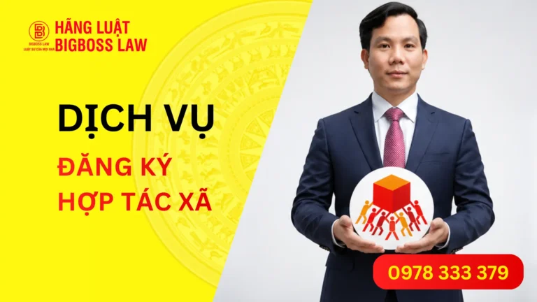 Dịch vụ đăng ký hợp tác xã: Trọn gói, nhanh chóng, đúng luật