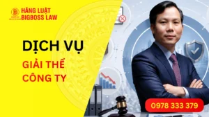 Dịch vụ giải thể công ty (TNHH, Cổ phần, FDI) chuẩn pháp lý
